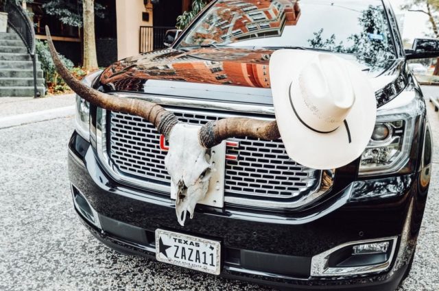 a view of a bull skull sitting on the front of a GMC SUV