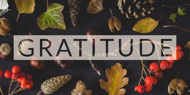 a picture of acorns and red leaves and berries with the word 'Gratitude' outlined in the center